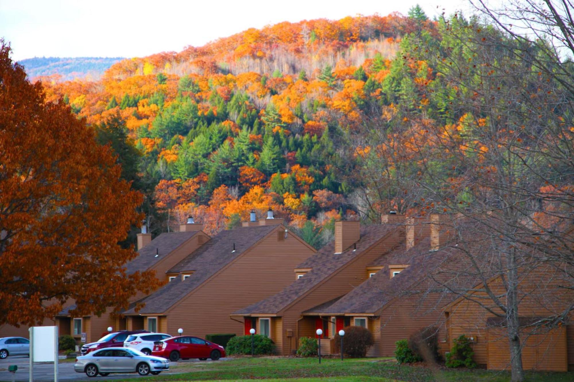Cold Spring Plymouth Resort Ashland Exteriér fotografie